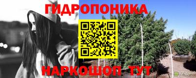 кристаллы Славгород